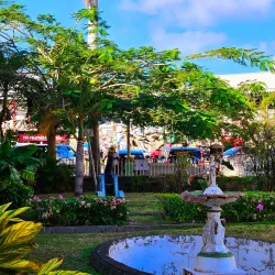 The Circus - Basseterre