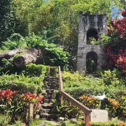 Caribelle Batik Workshop - Cayon