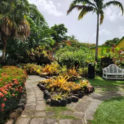 Caribelle Batik Workshop - Cayon