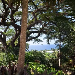 Caribelle Batik Workshop - Cayon