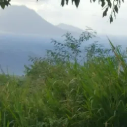 Mount Liamuiga - Cayon