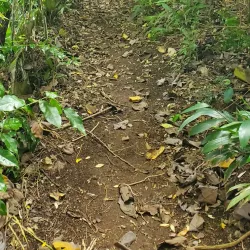 Mount Liamuiga - Cayon