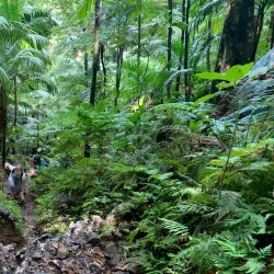 Mount Liamuiga - Cayon