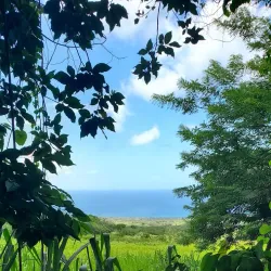 Mount Liamuiga - Cayon