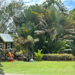 Romney Manor - Cayon