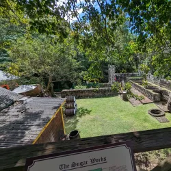 Wingfield Estate - Cayon