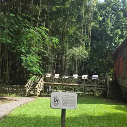 Wingfield Estate - Cayon