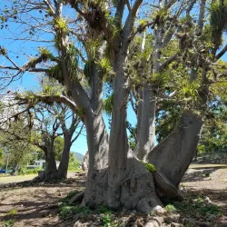 Bath Hotel and Spring House - Charlestown