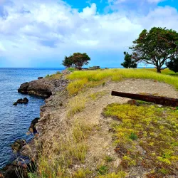 Fort Charles - Charlestown