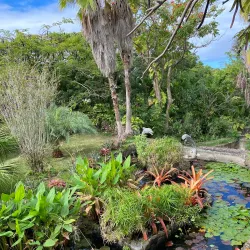 Nevis Botanical Gardens - Charlestown