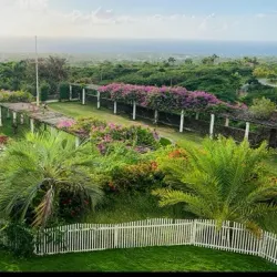 Nevis Botanical Gardens - Charlestown