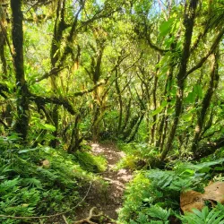 Nevis Peak - Charlestown
