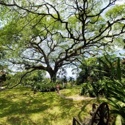 Caribelle Batik - Lodge