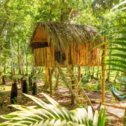 Mount Liamuiga - Lodge