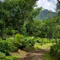 Mount Liamuiga - Lodge