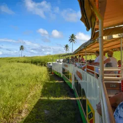 St. Kitts Scenic Railway - Lodge