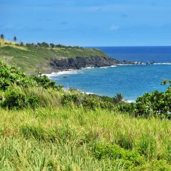 St. Kitts Scenic Railway - Lodge