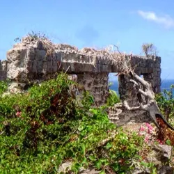 Newcastle Beach - Newcastle