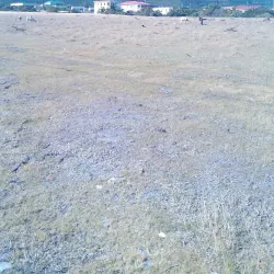 Newcastle Beach - Newcastle