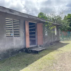 Newcastle Pottery - Newcastle