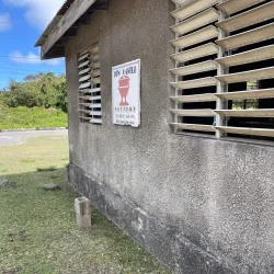 Newcastle Pottery - Newcastle