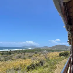 Saint Kitts Scenic Railway - Newcastle