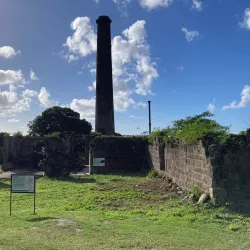 Alexander Hamilton House - Scarborough