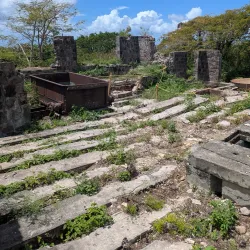 Alexander Hamilton House - Scarborough