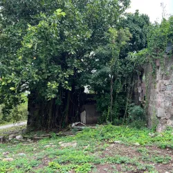 Alexander Hamilton House - Scarborough