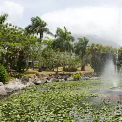 Botanical Gardens of Nevis - Scarborough