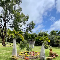 Nevis Botanical Gardens - Scarborough