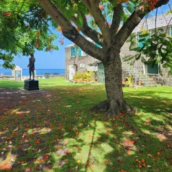 Nevis Historical and Conservation Society Museum - Scarborough