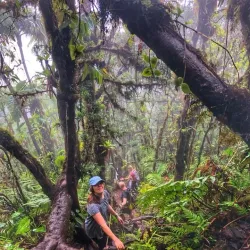 Nevis Peak - Scarborough