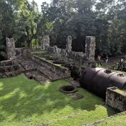 Central Forest Reserve - Tabernacle