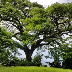 Central Forest Reserve - Tabernacle