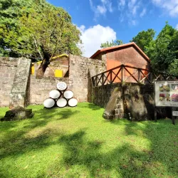 Central Forest Reserve - Tabernacle