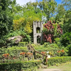 Central Forest Reserve - Tabernacle