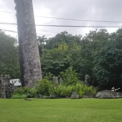 Wingfield Estate - Tabernacle