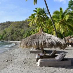 Anse Chastanet Beach - Canaries