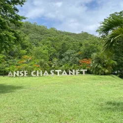 Anse Chastanet Beach - Canaries