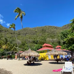 Anse Chastanet Beach - Canaries
