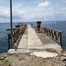Anse Chastanet Beach - Canaries