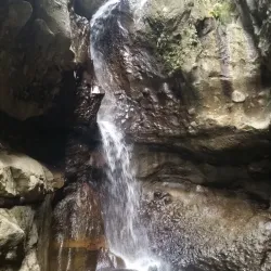 Canaries Beach - Canaries