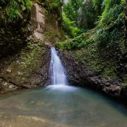 Canaries Beach - Canaries