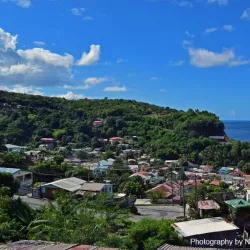 Canaries Beach - Canaries