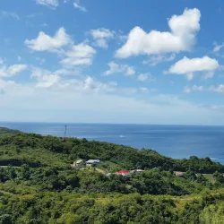 Canaries Beach - Canaries