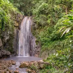 Diamond Botanical Gardens and Waterfall - Canaries