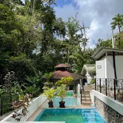 Diamond Botanical Gardens and Waterfall - Canaries