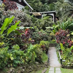 Fond Doux Plantation & Resort - Canaries