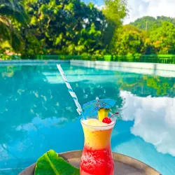 Fond Doux Plantation & Resort - Canaries